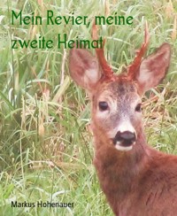 Mein Revier, meine zweite Heimat - Hohenauer Markus - E-Book