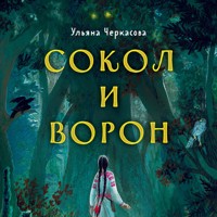Золотые земли. Сокол и Ворон - Ульяна Черкасова - Hörbuch