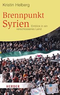 Brennpunkt Syrien - Kristin Helberg - E-Book