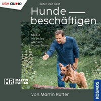 Hunde beschäftigen von Martin Rütter - Martin Rütter - Hörbuch