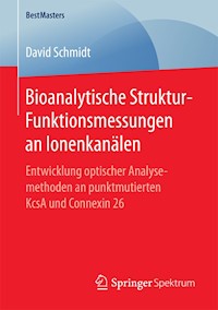 Bioanalytische Struktur-Funktionsmessungen an Ionenkanälen - David Schmidt - E-Book