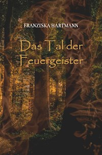 Das Tal der Feuergeister - Franziska Hartmann - E-Book