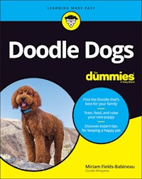 Doodle Dogs For Dummies - Miriam Fields-Babineau - E-Book
