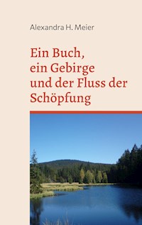 Ein Buch, ein Gebirge und der Fluss der Schöpfung - Alexandra H. Meier - E-Book