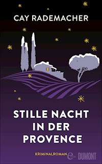 Stille Nacht in der Provence - Cay Rademacher - E-Book
