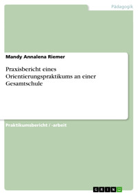 Praxisbericht eines Orientierungspraktikums an einer Gesamtschule - Mandy Annalena Riemer - E-Book