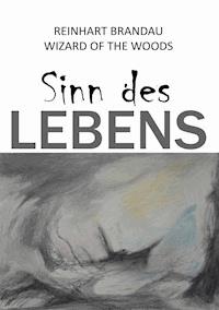 Sinn des Lebens - Reinhart Brandau - E-Book