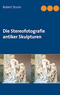 Die Stereofotografie antiker Skulpturen - Robert Sturm - E-Book