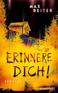Erinnere dich! - Max Reiter - E-Book