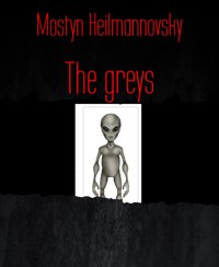 The greys - Mostyn Heilmannovsky - E-Book