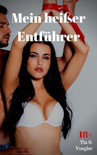 Mein heißer Entführer - Tia S. Voegler - E-Book
