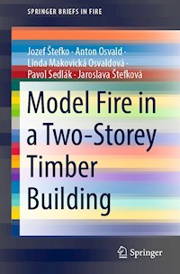Model Fire in a Two-Storey Timber Building - Jozef Štefko - E-Book