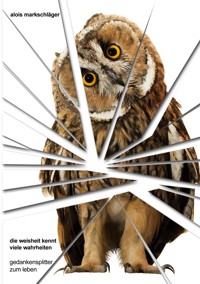 Die Weisheit kennt viele Wahrheiten - Alois Markschläger - E-Book