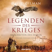Im Schatten des Falken - David Gilman - Hörbuch