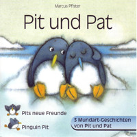Pit und Pat (Schweizer Mundart) - Marcus Pfister - Hörbuch