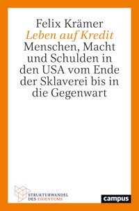 Leben auf Kredit - Felix Krämer - kostenlos E-Book