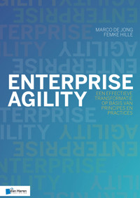 Enterprise Agility - Femke Hille - E-Book