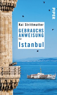 Gebrauchsanweisung für Istanbul - Kai Strittmatter - E-Book