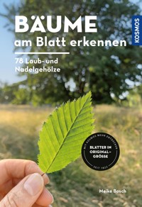 Bäume am Blatt erkennen - 78 Laub- und Nadelgehölze. Blätter in Originalgröße - Meike Bosch - E-Book
