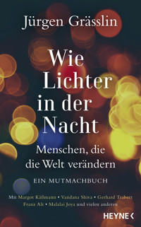 Wie Lichter in der Nacht - Jürgen Grässlin - E-Book