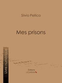 Mes prisons - Ligaran - E-Book
