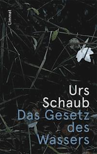 Das Gesetz des Wassers - Urs Schaub - E-Book
