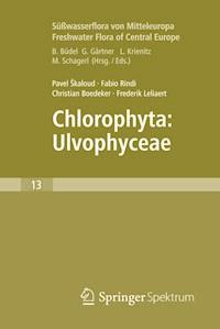 Freshwater Flora of Central Europe, Vol 13: Chlorophyta: Ulvophyceae (Süßwasserflora von Mitteleuropa, Bd. 13: Chlorophyta: Ulvophyceae) - Pavel Škaloud - E-Book