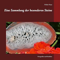 Eine Sammlung der besonderen Steine - Heike Haas - E-Book