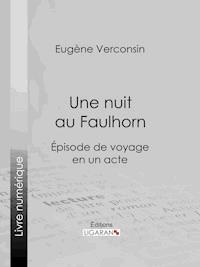 Une nuit au Faulhorn - Eugène Verconsin - E-Book