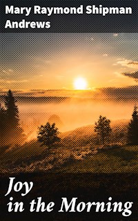 Joy in the Morning - Mary Raymond Shipman Andrews - E-Book