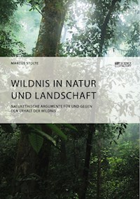 Wildnis in Natur und Landschaft. Naturethische Argumente für und gegen den Erhalt der Wildnis - Marcus Stolte - E-Book