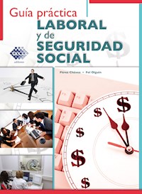 Guía práctica Laboral y de Seguridad Social 2017 - José Pérez Chávez - E-Book