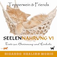 Seelennahrung 6: Texte zur Besinnung und Einkehr (Tepperwein and Friends) -  - Hörbuch