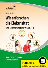 Wir erforschen die Elektrizität - Birgit Kraft - E-Book
