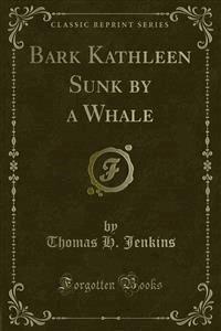 Bark Kathleen Sunk by a Whale - Thomas H. Jenkins - E-Book