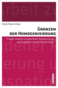 Grenzen der Homogenisierung - Nicole Mayer-Ahuja - E-Book