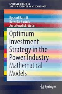 Optimum Investment Strategy in the Power Industry - Ryszard Bartnik - E-Book