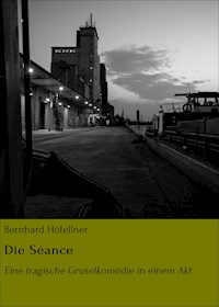 Die Séance - Bernhard Höfellner - E-Book