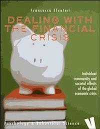 Dealing with the financial crisis - Francesca Eleuteri - E-Book