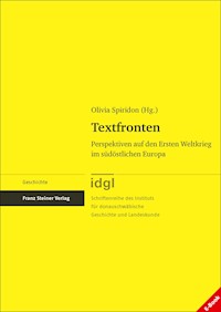 Textfronten -  - E-Book