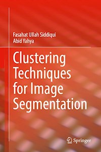 Clustering Techniques for Image Segmentation - Fasahat Ullah Siddiqui - E-Book