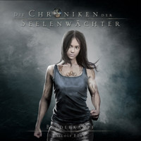 Bruderkampf - Die Chroniken der Seelenwächter, Band 11 (ungekürzt) - Nicole Böhm - Hörbuch