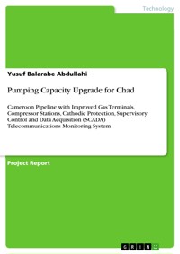 Pumping Capacity Upgrade for Chad - Yusuf Balarabe Abdullahi - E-Book