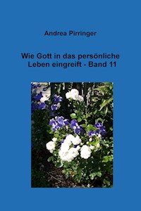 Wie Gott in das persönliche Leben eingreift - Band 11 - Andrea Pirringer - E-Book