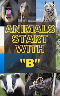 Animals that start with B - Murray Liam - E-Book