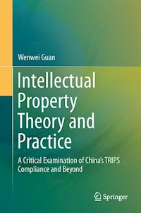 Intellectual Property Theory and Practice - Wenwei Guan - E-Book