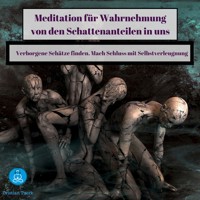 Meditation für Wahrnehmung von den Schattenanteilen in uns - Cristian Tuerk - Hörbuch