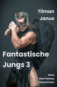 Fantastische Jungs 3 - Tilman Janus - E-Book
