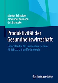 Produktivität der Gesundheitswirtschaft - Markus Schneider - E-Book