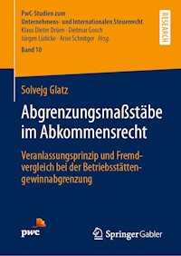 Abgrenzungsmaßstäbe im Abkommensrecht - Solvejg Glatz - E-Book